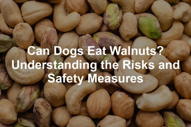 Featured image for Can Dogs Eat Walnuts? Understanding the Risks and Safety Measures