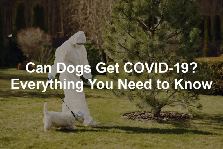 Featured image for Can Dogs Get COVID-19? Everything You Need to Know