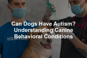 Featured image for Can Dogs Have Autism? Understanding Canine Behavioral Conditions