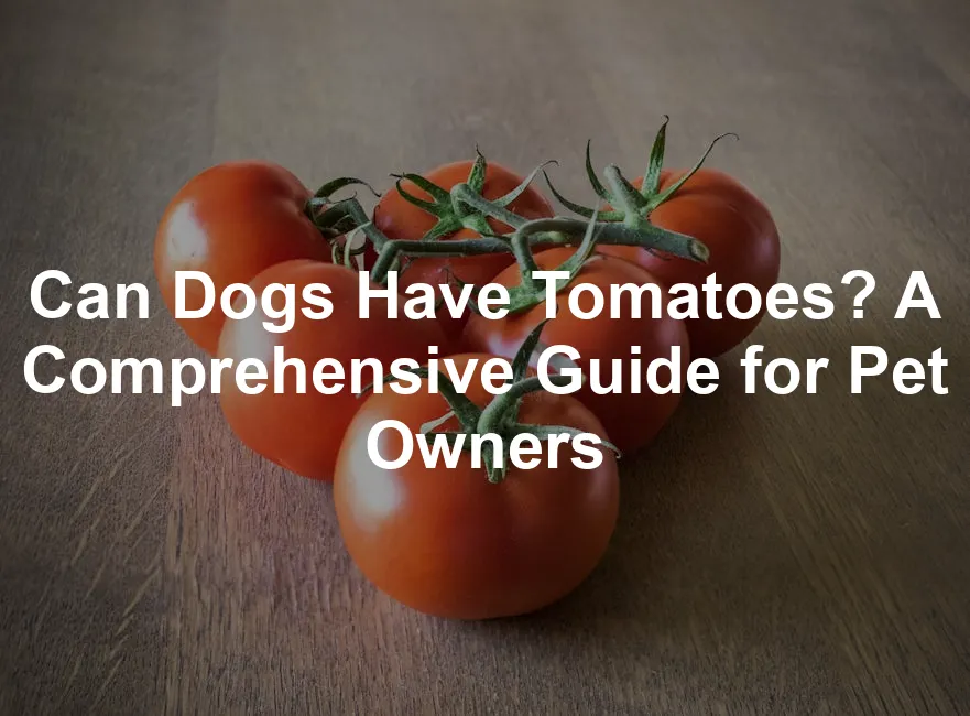 Featured image for Can Dogs Have Tomatoes? A Comprehensive Guide for Pet Owners