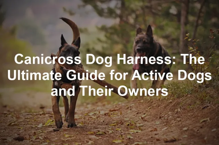 Featured image for Canicross Dog Harness: The Ultimate Guide for Active Dogs and Their Owners