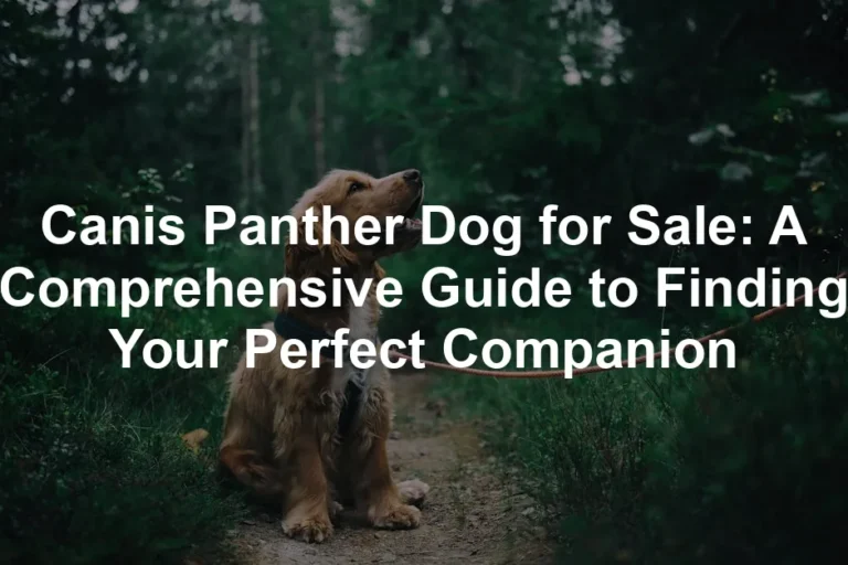Featured image for Canis Panther Dog for Sale: A Comprehensive Guide to Finding Your Perfect Companion