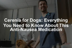 Featured image for Cerenia for Dogs: Everything You Need to Know About This Anti-Nausea Medication