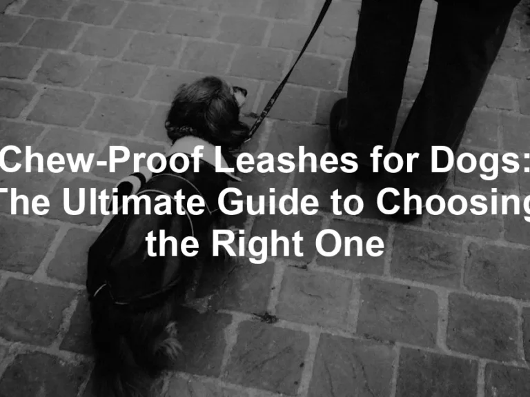 Featured image for Chew-Proof Leashes for Dogs: The Ultimate Guide to Choosing the Right One