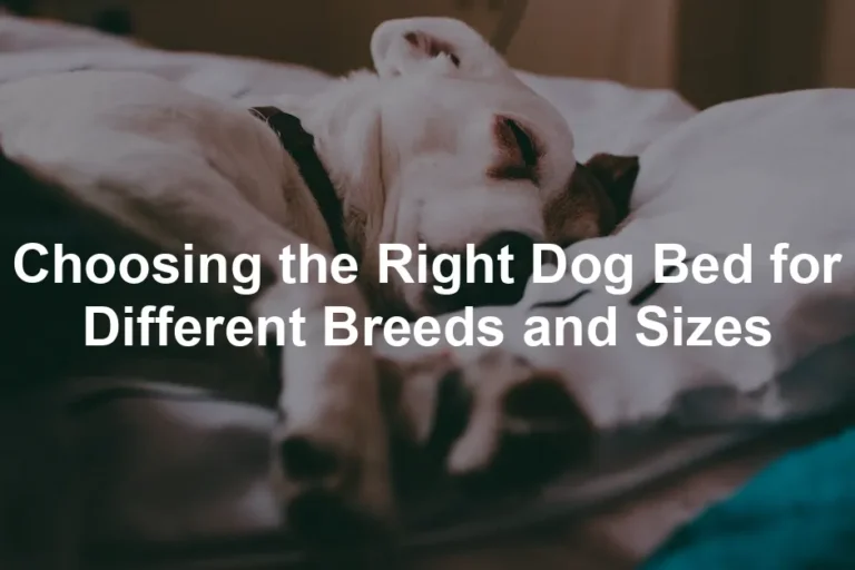Featured image for Choosing the Right Dog Bed for Different Breeds and Sizes