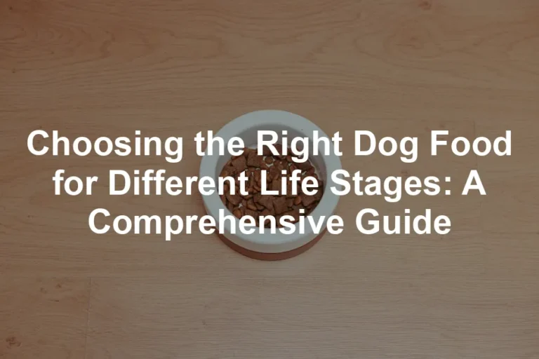 Featured image for Choosing the Right Dog Food for Different Life Stages: A Comprehensive Guide