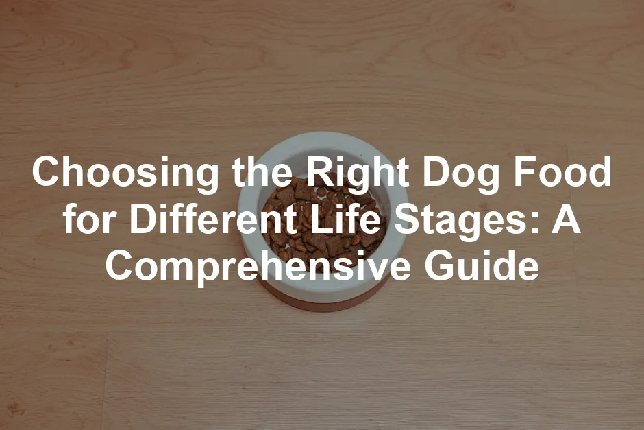 Featured image for Choosing the Right Dog Food for Different Life Stages: A Comprehensive Guide