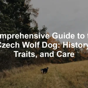 Featured image for Comprehensive Guide to the Czech Wolf Dog: History, Traits, and Care