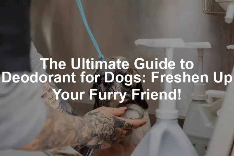 Featured image for The Ultimate Guide to Deodorant for Dogs: Freshen Up Your Furry Friend!