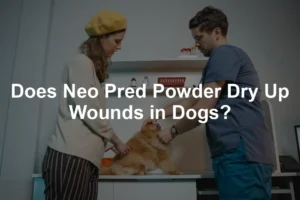 Featured image for Does Neo Pred Powder Dry Up Wounds in Dogs?