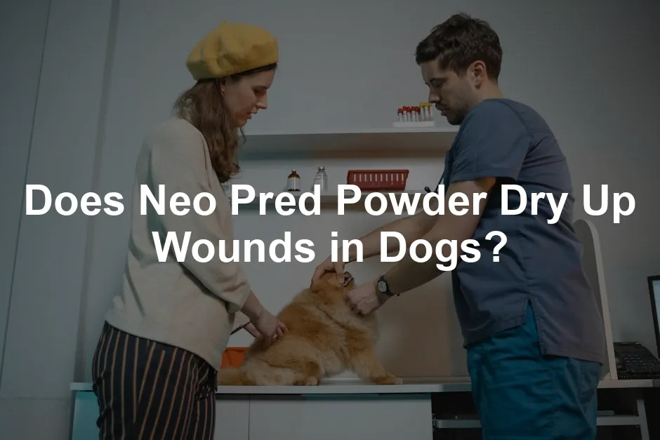 Featured image for Does Neo Pred Powder Dry Up Wounds in Dogs?