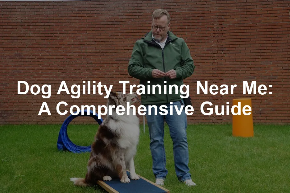 Featured image for Dog Agility Training Near Me: A Comprehensive Guide