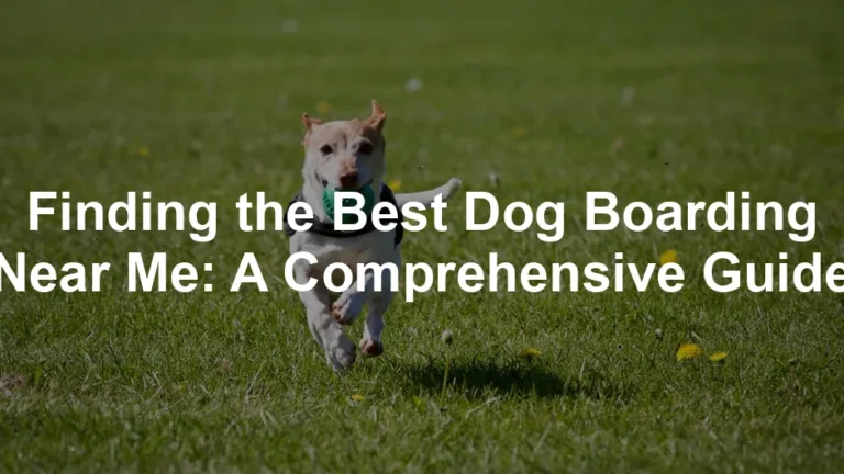 Featured image for Finding the Best Dog Boarding Near Me: A Comprehensive Guide