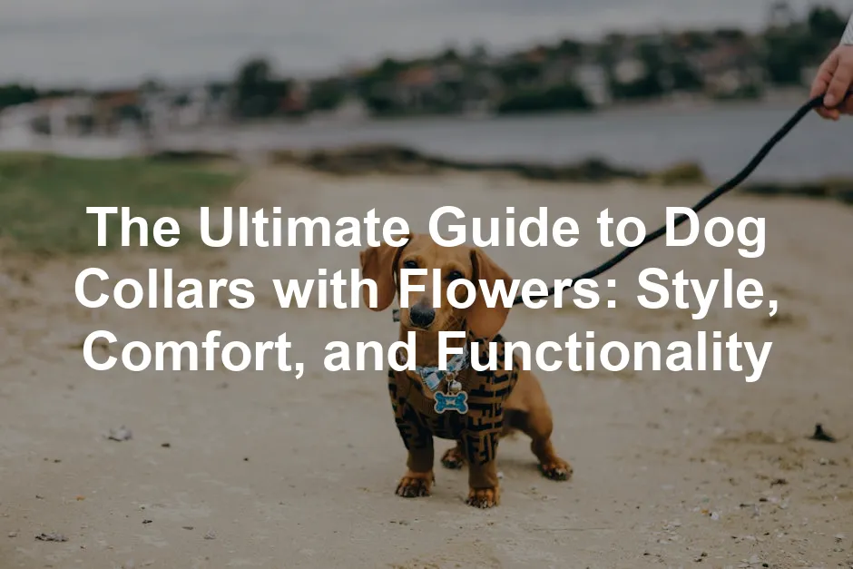 Featured image for The Ultimate Guide to Dog Collars with Flowers: Style, Comfort, and Functionality