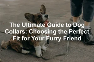 Featured image for The Ultimate Guide to Dog Collars: Choosing the Perfect Fit for Your Furry Friend