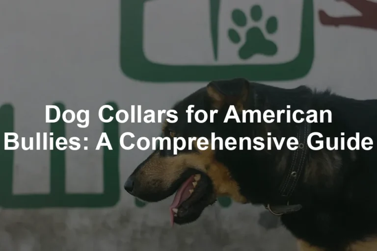 Featured image for Dog Collars for American Bullies: A Comprehensive Guide