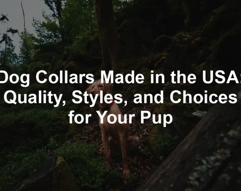 Featured image for Dog Collars Made in the USA: Quality, Styles, and Choices for Your Pup