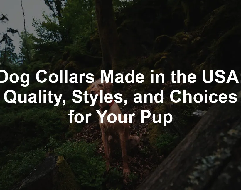 Featured image for Dog Collars Made in the USA: Quality, Styles, and Choices for Your Pup