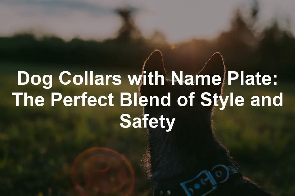 Featured image for Dog Collars with Name Plate: The Perfect Blend of Style and Safety