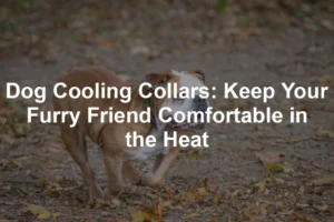 Featured image for Dog Cooling Collars: Keep Your Furry Friend Comfortable in the Heat