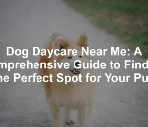 Featured image for Dog Daycare Near Me: A Comprehensive Guide to Finding the Perfect Spot for Your Pup