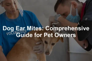 Featured image for Dog Ear Mites: Comprehensive Guide for Pet Owners