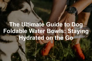 Featured image for The Ultimate Guide to Dog Foldable Water Bowls: Staying Hydrated on the Go