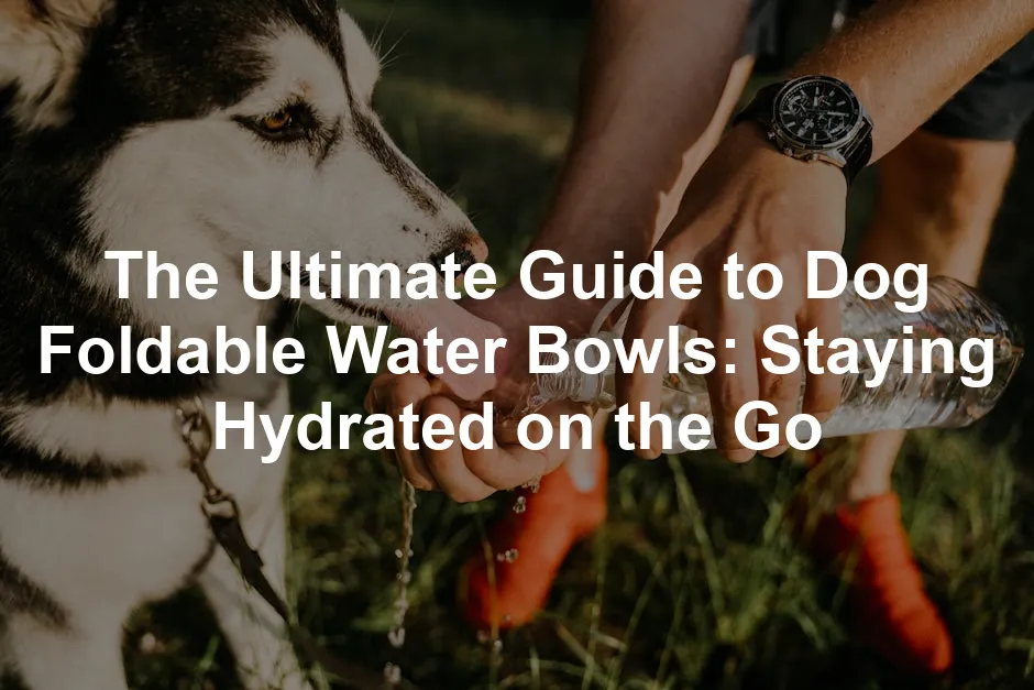 Featured image for The Ultimate Guide to Dog Foldable Water Bowls: Staying Hydrated on the Go