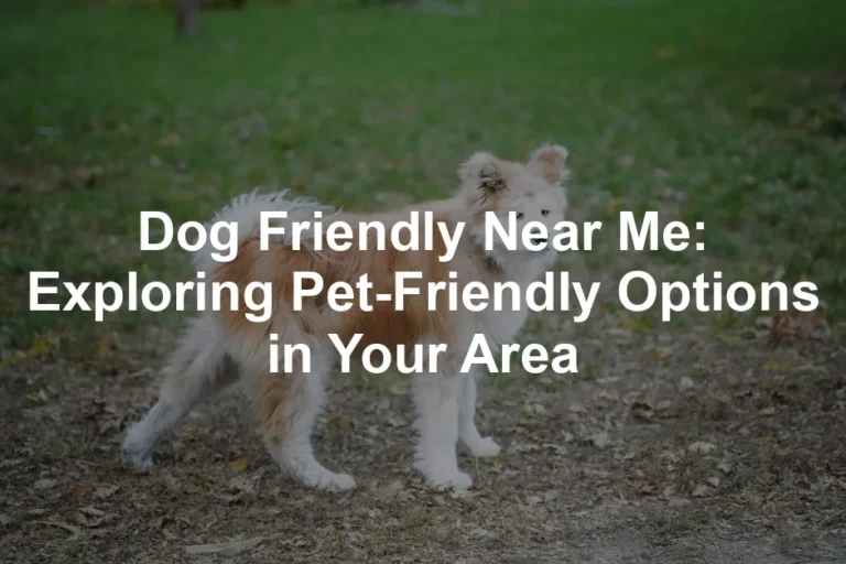 Featured image for Dog Friendly Near Me: Exploring Pet-Friendly Options in Your Area