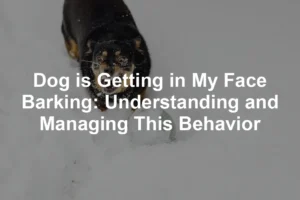 Featured image for Dog is Getting in My Face Barking: Understanding and Managing This Behavior