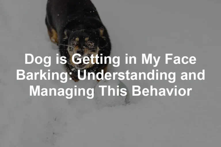 Featured image for Dog is Getting in My Face Barking: Understanding and Managing This Behavior