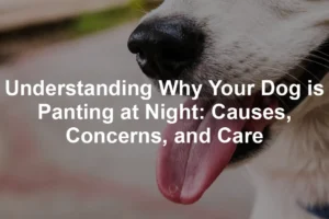 Featured image for Understanding Why Your Dog is Panting at Night: Causes, Concerns, and Care