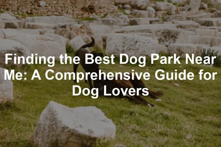 Featured image for Finding the Best Dog Park Near Me: A Comprehensive Guide for Dog Lovers