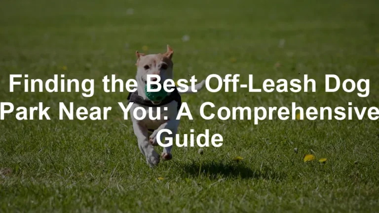 Featured image for Finding the Best Off-Leash Dog Park Near You: A Comprehensive Guide