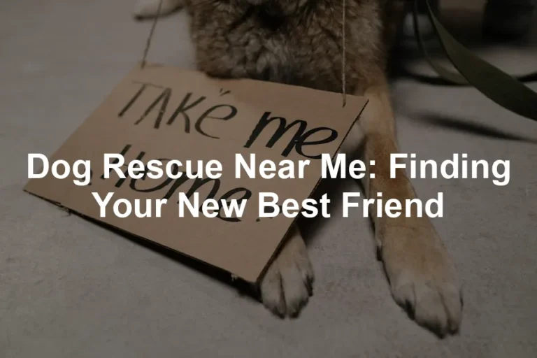 Featured image for Dog Rescue Near Me: Finding Your New Best Friend