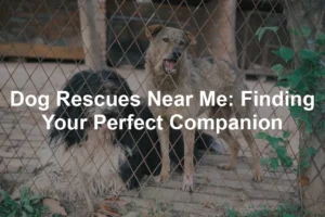 Featured image for Dog Rescues Near Me: Finding Your Perfect Companion