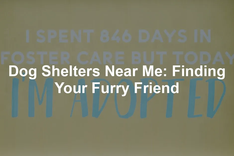 Featured image for Dog Shelters Near Me: Finding Your Furry Friend