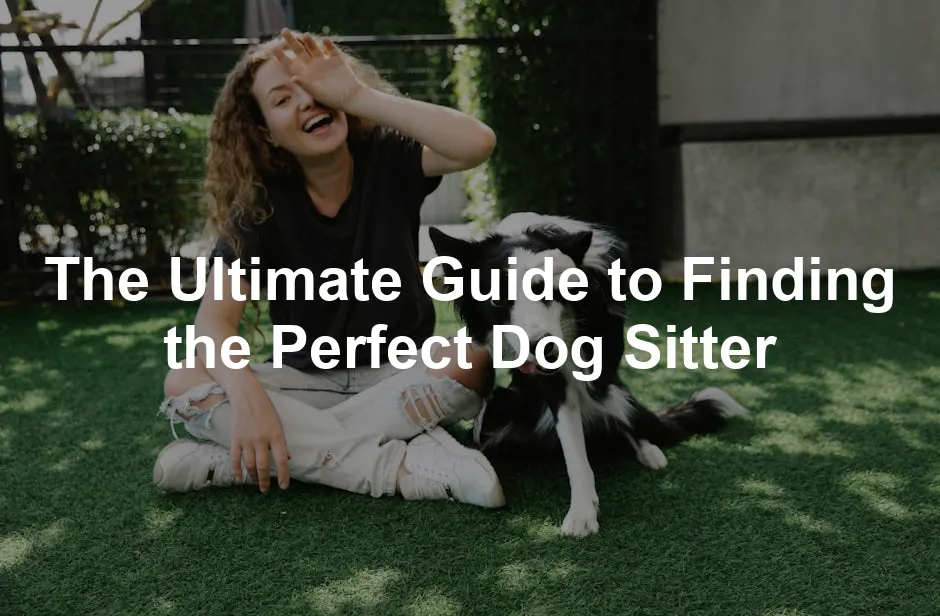 Featured image for The Ultimate Guide to Finding the Perfect Dog Sitter