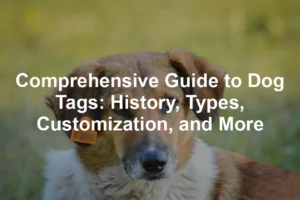 Featured image for Comprehensive Guide to Dog Tags: History, Types, Customization, and More