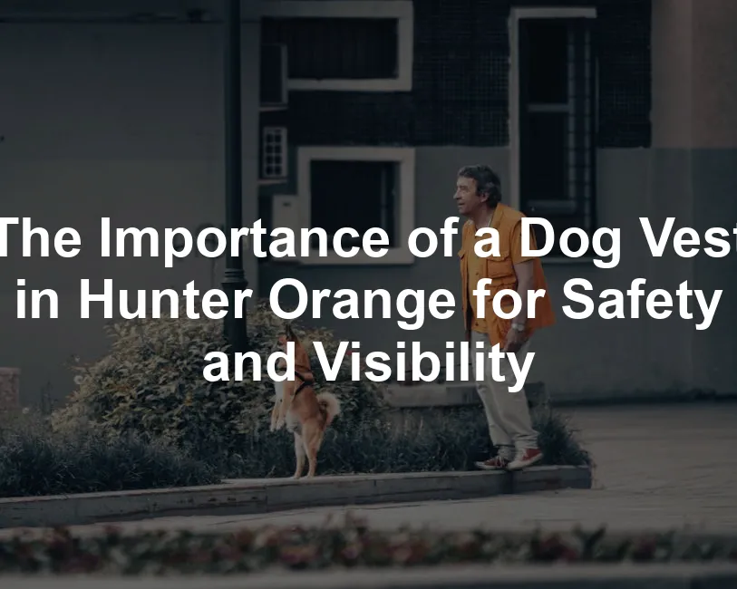 Featured image for The Importance of a Dog Vest in Hunter Orange for Safety and Visibility