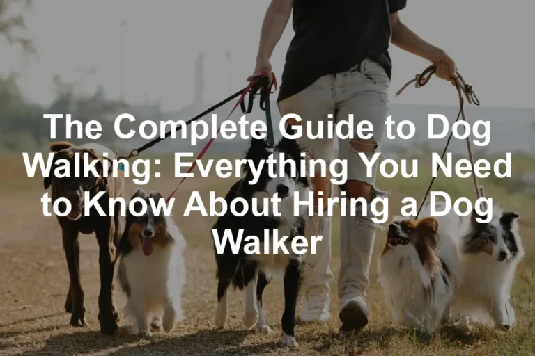 Featured image for The Complete Guide to Dog Walking: Everything You Need to Know About Hiring a Dog Walker