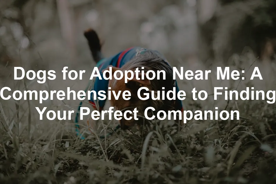 Featured image for Dogs for Adoption Near Me: A Comprehensive Guide to Finding Your Perfect Companion