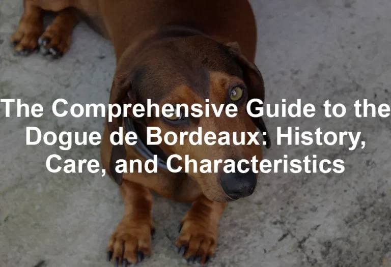 Featured image for The Comprehensive Guide to the Dogue de Bordeaux: History, Care, and Characteristics