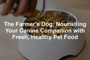 Featured image for The Farmer's Dog: Nourishing Your Canine Companion with Fresh, Healthy Pet Food