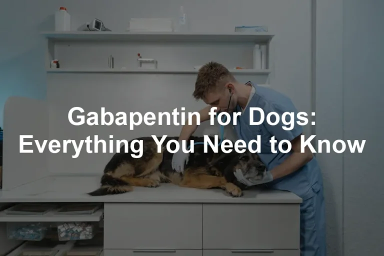 Featured image for Gabapentin for Dogs: Everything You Need to Know