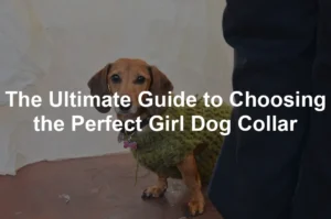 Featured image for The Ultimate Guide to Choosing the Perfect Girl Dog Collar