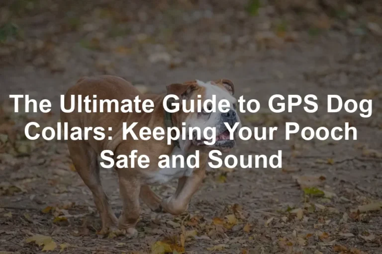 Featured image for The Ultimate Guide to GPS Dog Collars: Keeping Your Pooch Safe and Sound