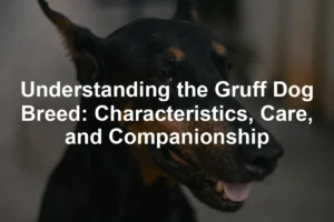 Featured image for Understanding the Gruff Dog Breed: Characteristics, Care, and Companionship