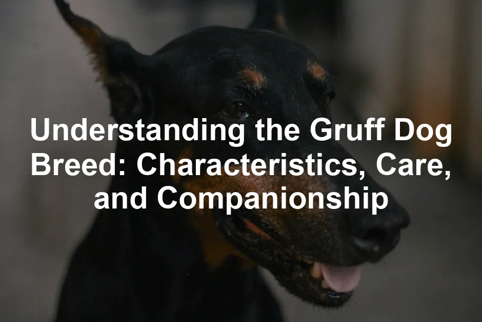 Featured image for Understanding the Gruff Dog Breed: Characteristics, Care, and Companionship