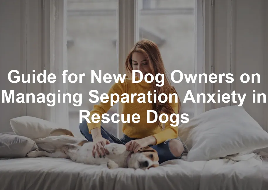 Featured image for Guide for New Dog Owners on Managing Separation Anxiety in Rescue Dogs